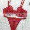 the New Transparent Soft Cup Bra and Panty Lingeries Women Underwear