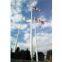 Flag pole