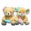 HI EN71 high standard soft plush funny teddy bear for valentine on sale