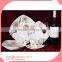 fine porcelain square 20cs dinner set