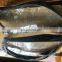 Car parts w222 headlight glass lens cover 2016- year S class for mercedes