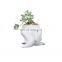Ceramic Dolphin Planter Pot Succulent Plant Pot