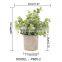 Wholesale 3 Pieces Artificial Eucalyptus Potted Plastic Plants Mini Green Plants For Office Desk Decoration Bonsai