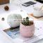 Wholesale Plant Nordic  Flower & Planters Pot Succulent Planter Unique Decor Small Decorative Ceramic Pots For Indoor Plants
