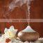 Best Selling 160ml Mini Essential Oil Cold Air Aroma Diffuser in Humidifiers Wholesale