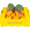 Conteneurs en plastique ondulé empilables pour fruits – écologiques et réutilisables
