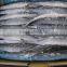 seafrozen pacific saury wr