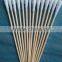 Medical Wooden Stick Cotton Swabs