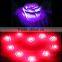 LED Romantic Rose Flower 7 Color changed Changing Lamp LED night lights Light