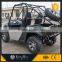 Cheap utility vehicle buggy for sale