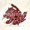 2016 New Corp red chili sauce