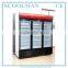 Chain Supermarket Upright 3 Door Glass Freezer