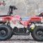 cheap 800W Mini Electric Quad ATV for kids