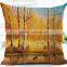 Wholesale 3D digital printed home decor cushion cover, pillow case
