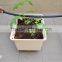 Tomato dutch bucket hydroponics system for greenhouse