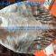 Canada goose wing decoy windsock for hunting Decoy