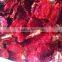 Supply Natural Sun Dried Tomato halves with large quantity