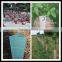 Light green corflute plant guard/vine wrap/tree guard/tree protector/shelter