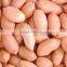 Peanut price of red skin peanut kernel with peanuts 1kg price