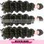 Top Remy Hair, Virgin Eurasian Deep Wave Hair Human Hair Weaving