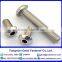 Hexagon Socket Countersunk/Round/Head Cap Screws