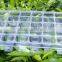 50Cells PVC Vegetables/Fruits Nursery Tray &Lids