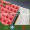 Isolation Studio Sound Proofing Strip, Auditorium Sound Proof Insulation Foam Mat, KTV Indoor Sound Insulation Foam