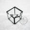 6.5*7.5*7cm geometric cube opening box air plant planter glass terrarium flower arrangement indoor gradening greenhouse 0100042