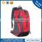 New Designed Waterproof Nylon Traveling Sport Backpack