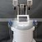 CE approval vacuum fat freezing cryo slimming machine for beauty