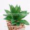 fake plant succulent plants with plot