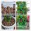 Expanded Clay balls for Indoor Garden/Bonsai, Vertical Growing System