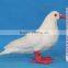 Artificial Feathered white pigeon Bird sound decoy dove