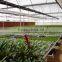 High quality lower energy plastic water trays flow rolling bench for growing