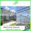 Venlo greenhouse with alternating vents
