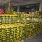 yellow printable warning tape