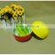 New Product colorful porcelain salad bowl