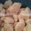 wholesale all kinds of the scallop and fresh clam meat in season