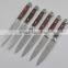 Hot Sell Steak Knife Set 6PCS