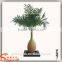 make cheap indoor and outdoor artificial bottle palm tree wholesale