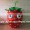 NO.2430 strawberry mascot costumes