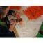 0.5m electric igniter for firing equipment display + 150piece/lot + orange wire