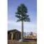 Monopine Cell Tower