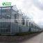 Low Price Of Commercial Agriculture Glass Greenhouse
