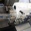 SCK46D-8 Swiss Type CNC Automatic Lathe