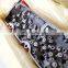 Foton ISG12 Engine Cylinder Head Assembly 5575213 5575213F