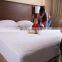 Waterproof Fleece Mattress Protector mattress cover Mattress Encasement -Vinyl free