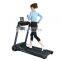 YPOO Full Assembled Small Folding Mini Electric Foldable Treadmill