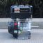 BISON(CHINA) BS390 High Quality Portable Air-cooled 4-stroke Gasoline Engine 13hp Gasoline Engine