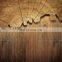 timber look tiles Flooring ceramics